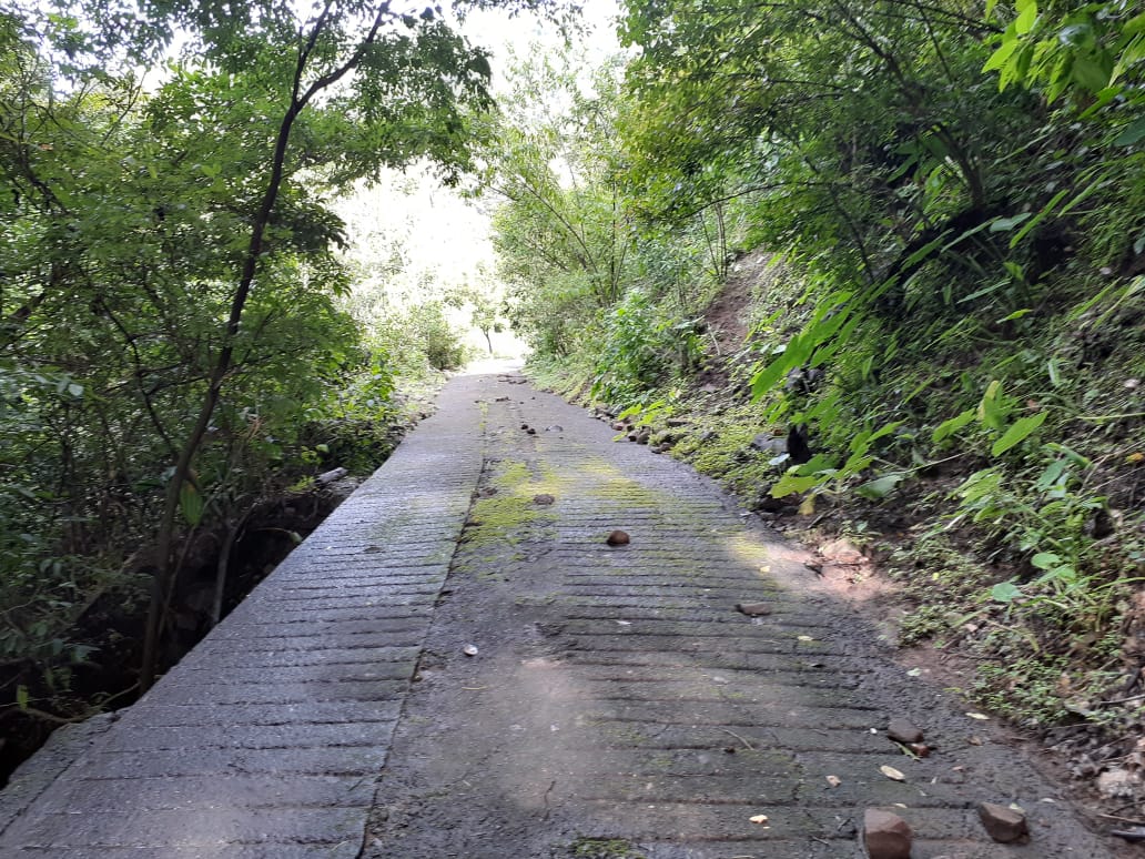 VENTA DE FINCA EN ATENAS COSTA RICA