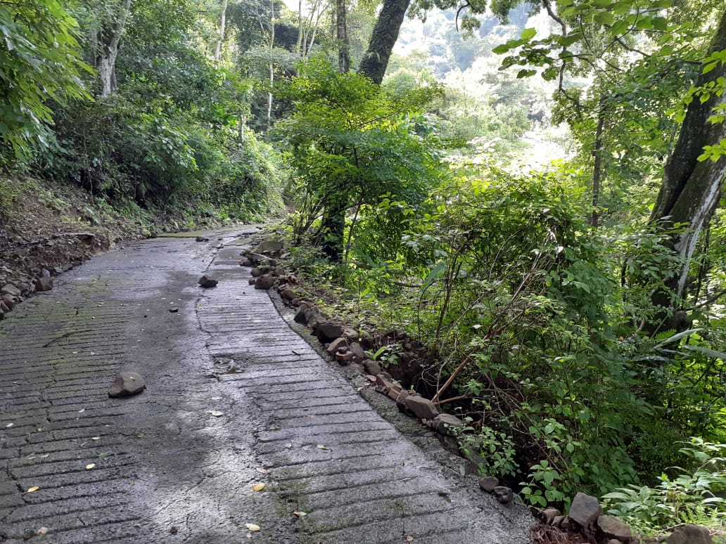 VENTA DE FINCA EN ATENAS